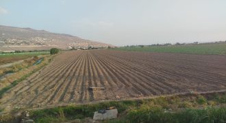 Se vende 4 has de terreno en Huaral