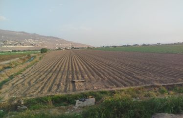 Se vende 4 has de terreno en Huaral